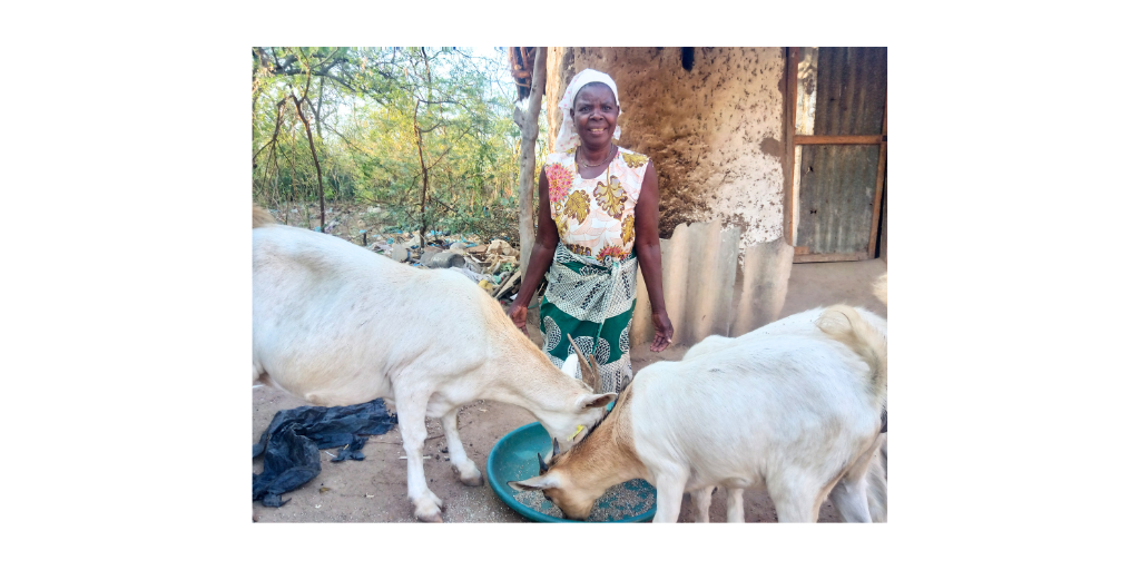 Mary and her goats