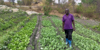 Farmer in Zambia